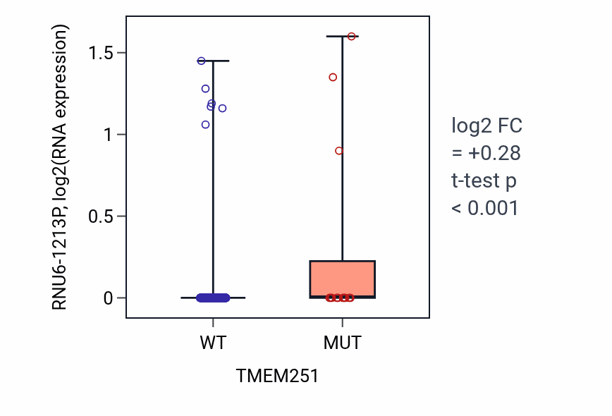 Box plot of RNU6-1213P in TMEM251-low vs TMEM251-high samples in UCEC.