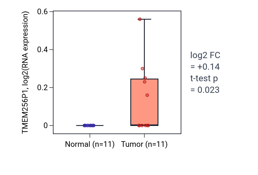 Tumor-vs-normal expression box plot for TMEM256P1 in HNSC.