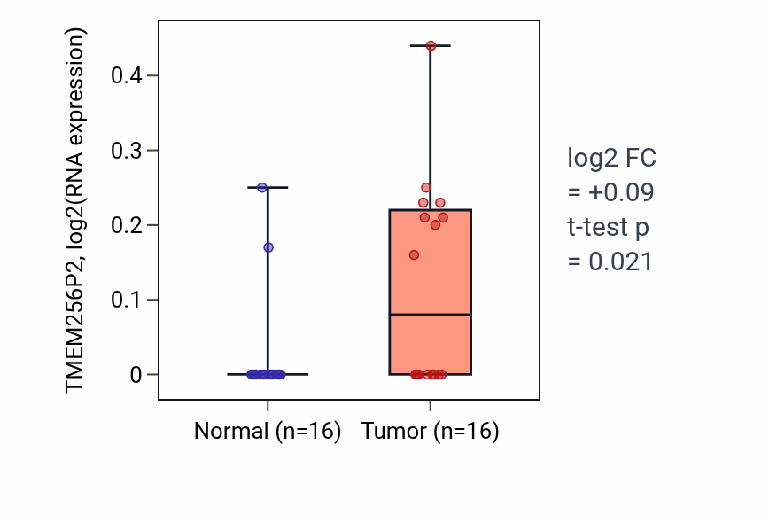 Tumor-vs-normal expression box plot for TMEM256P2 in HNSC.