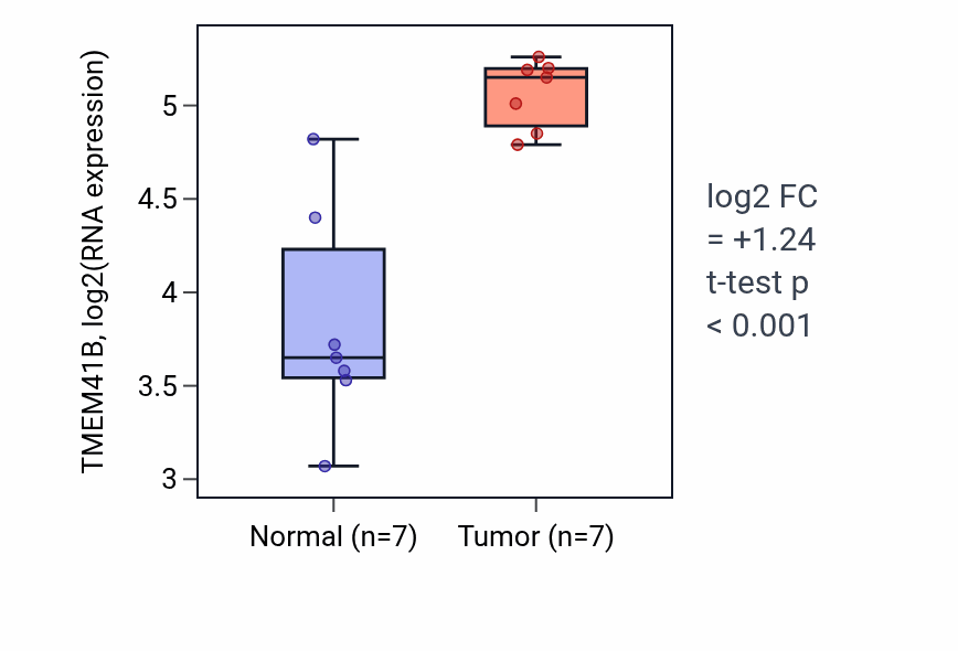 Tumor-vs-normal expression box plot for TMEM41B RNA in BLCA.