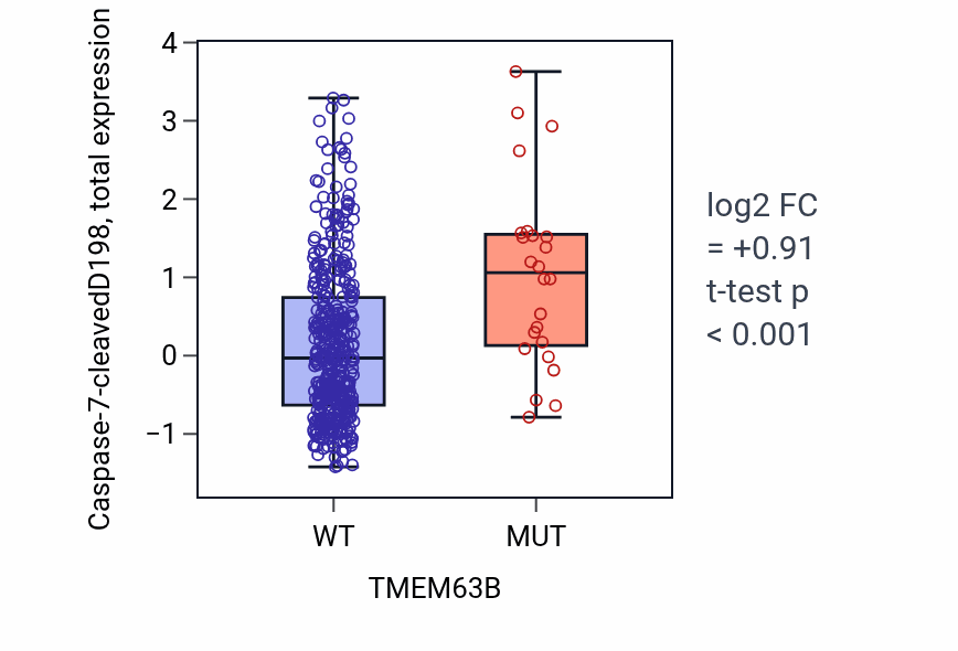 Box plot of Caspase-7-cleavedD198 in TMEM63B-low vs TMEM63B-high samples in UCEC.