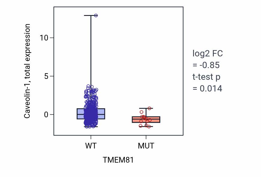 Box plot of Caveolin-1 in TMEM81-low vs TMEM81-high samples in UCEC.