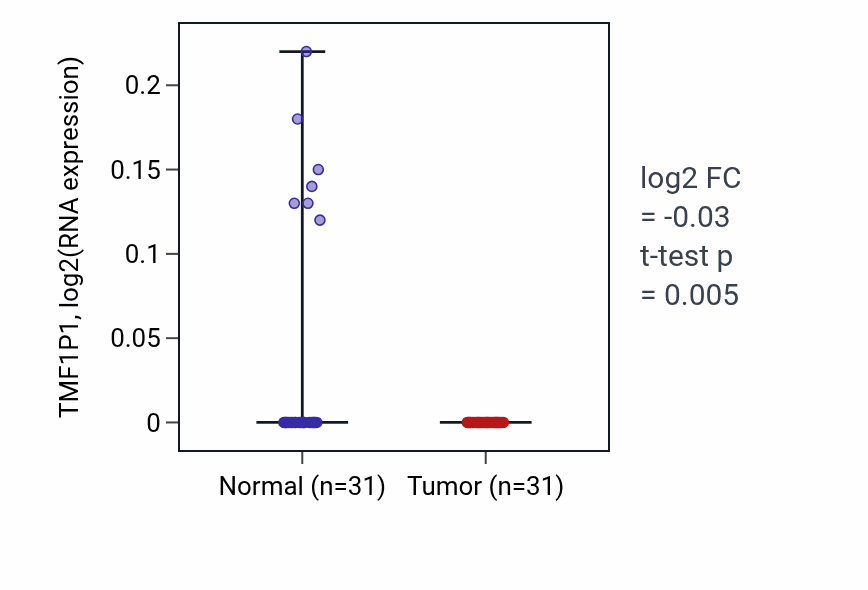 Tumor-vs-normal expression box plot for TMF1P1 in KIRP.