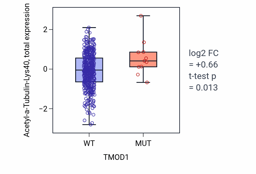 Box plot of Acetyl-a-Tubulin-Lys40 in TMOD1-low vs TMOD1-high samples in UCEC.