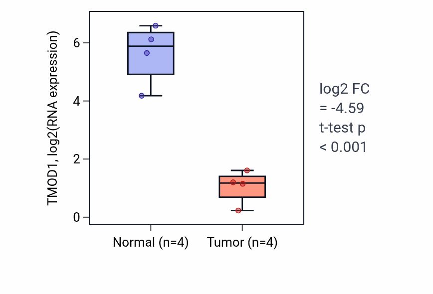 Tumor-vs-normal expression box plot for TMOD1 RNA in BLCA.