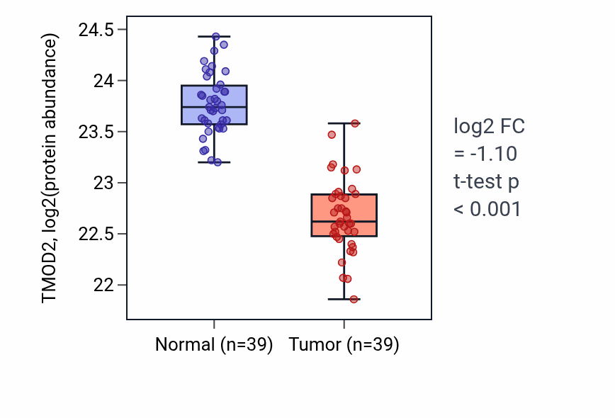 Tumor-vs-normal mass-spec protein box plot for TMOD2 in HNSC.