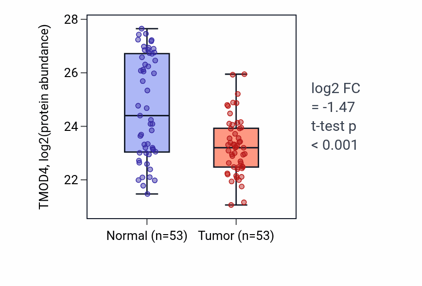 Tumor-vs-normal mass-spec protein box plot for TMOD4 in HNSC.