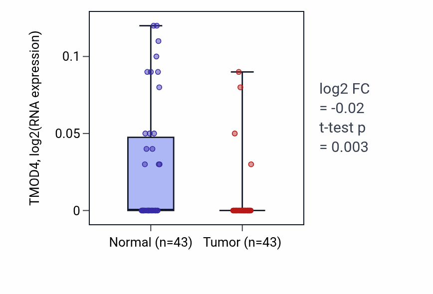 Tumor-vs-normal expression box plot for TMOD4 RNA in HNSC.