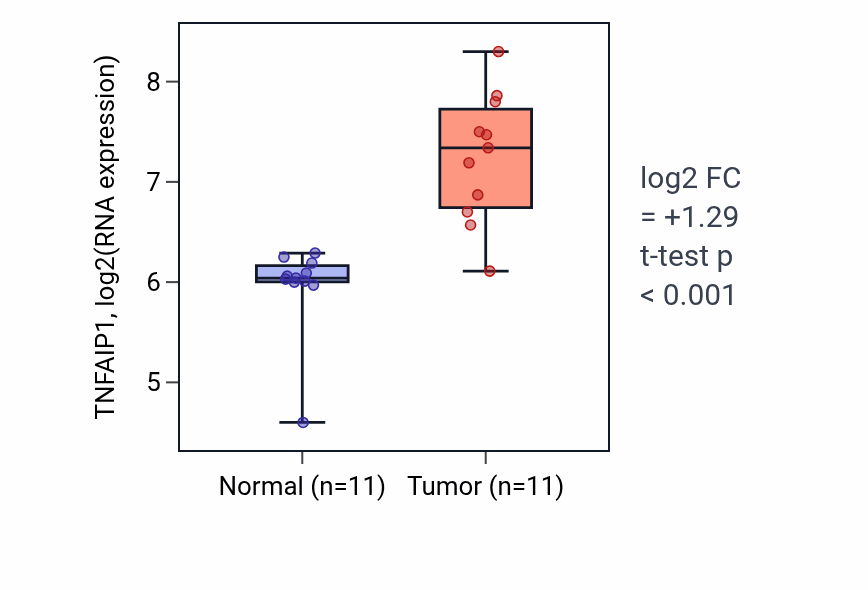 Tumor-vs-normal expression box plot for TNFAIP1 RNA in HNSC.