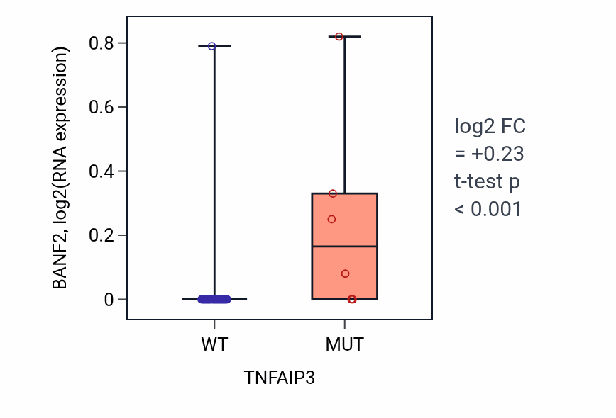 Box plot of BANF2 in TNFAIP3-low vs TNFAIP3-high samples in LUNG_SCLC.