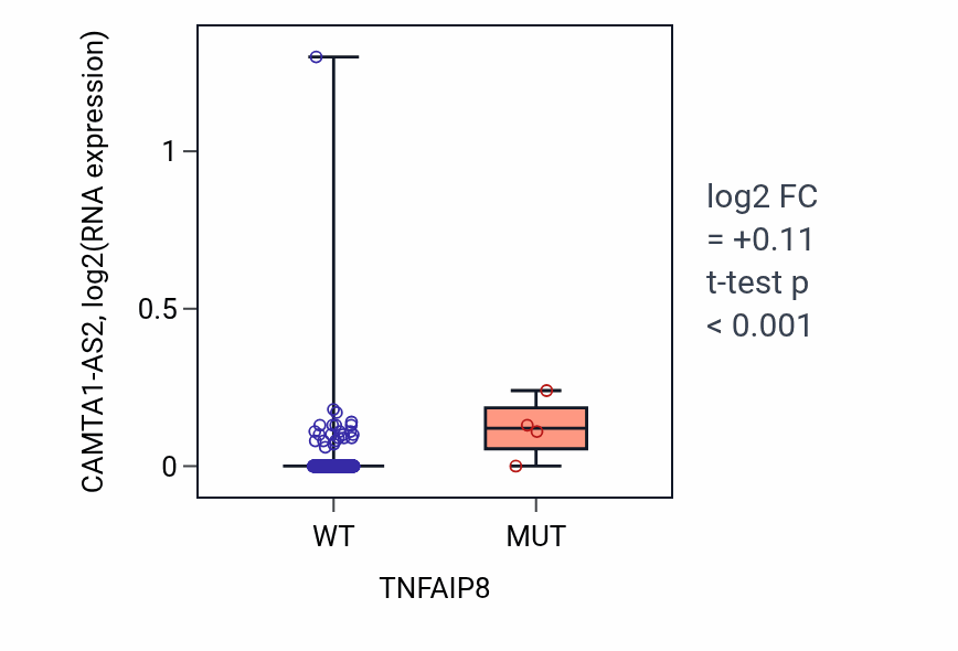 Box plot of CAMTA1-AS2 in TNFAIP8-low vs TNFAIP8-high samples in LUSC.