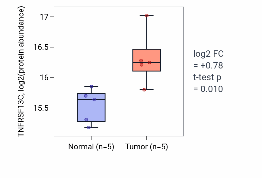 Tumor-vs-normal mass-spec protein box plot for TNFRSF13C in LSCC.