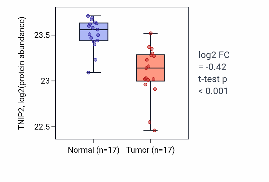 Tumor-vs-normal mass-spec protein box plot for TNIP2 in LSCC.