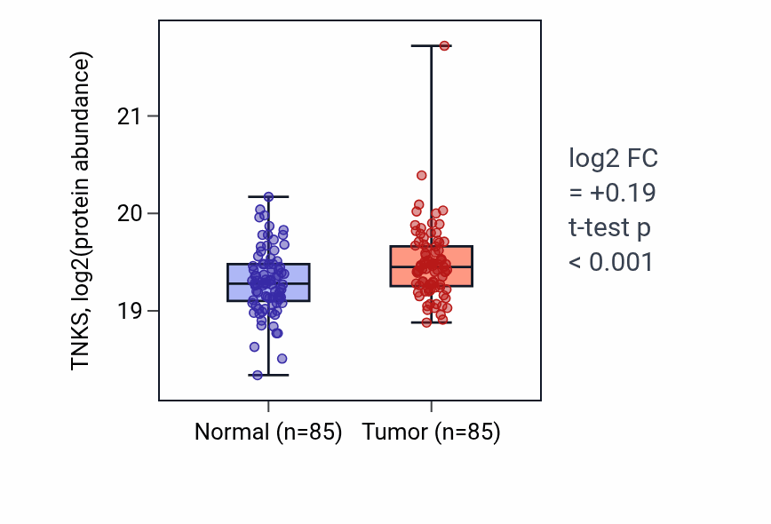 Tumor-vs-normal mass-spec protein box plot for TNKS in LSCC.