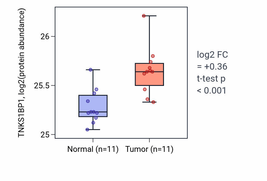 Tumor-vs-normal mass-spec protein box plot for TNKS1BP1 in CCRCC.