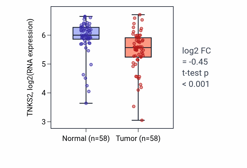 Tumor-vs-normal expression box plot for TNKS2 RNA in THCA.