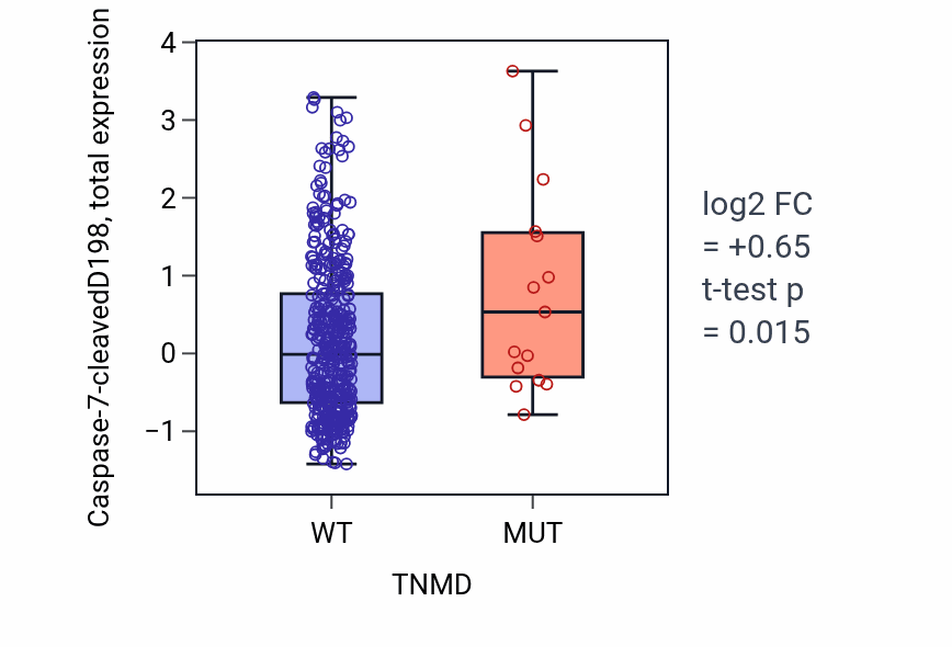 Box plot of Caspase-7-cleavedD198 in TNMD-low vs TNMD-high samples in UCEC.