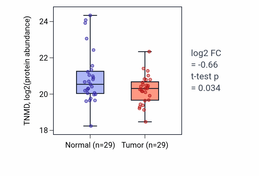 Tumor-vs-normal mass-spec protein box plot for TNMD in HNSC.