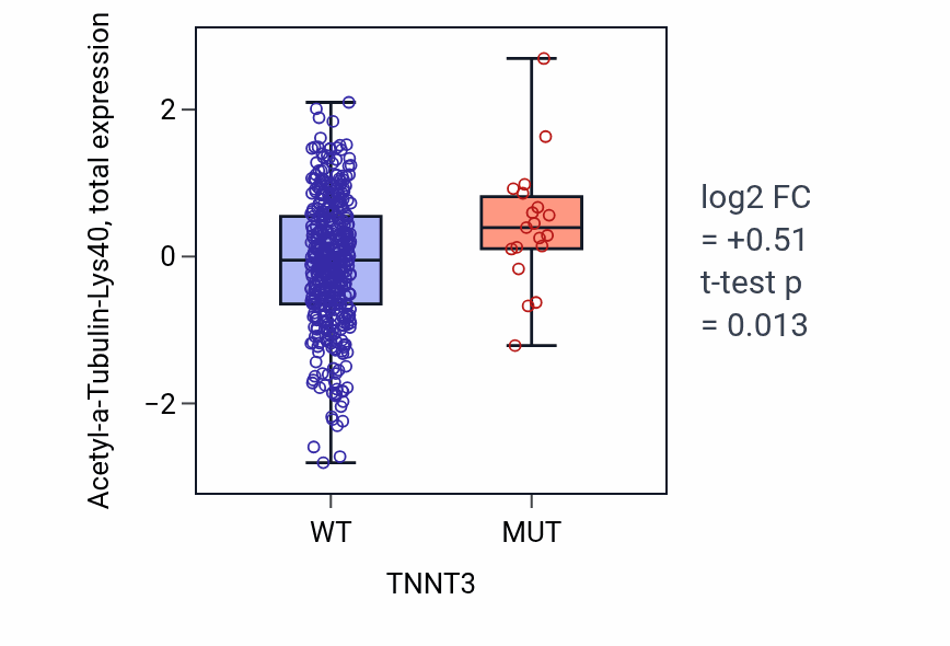Box plot of Acetyl-a-Tubulin-Lys40 in TNNT3-low vs TNNT3-high samples in UCEC.