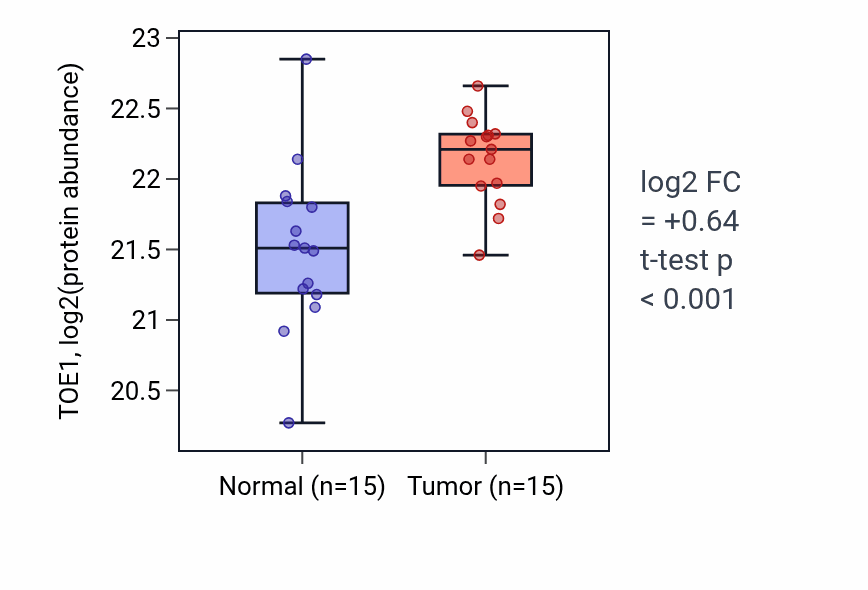 Tumor-vs-normal mass-spec protein box plot for TOE1 in COAD.