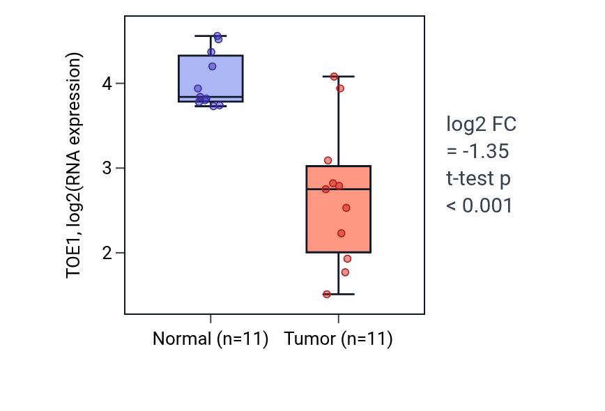 Tumor-vs-normal expression box plot for TOE1 RNA in KICH.