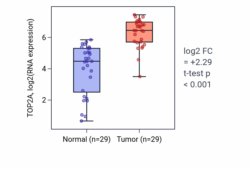 Tumor-vs-normal expression box plot for TOP2A RNA in HNSC.