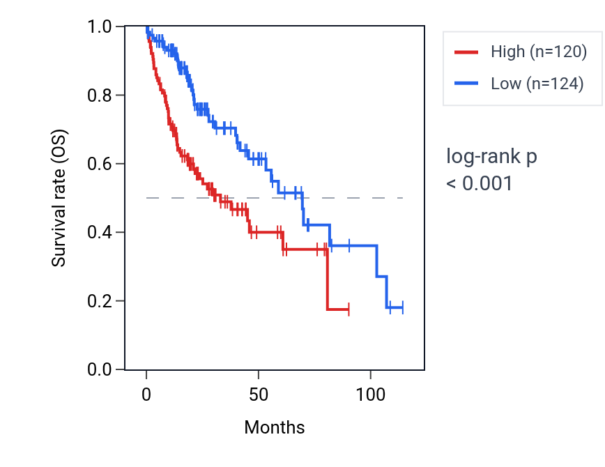 Kaplan&ndash;Meier survival curve for TOP2B RNA expression in LIHC: high vs low expression groups.