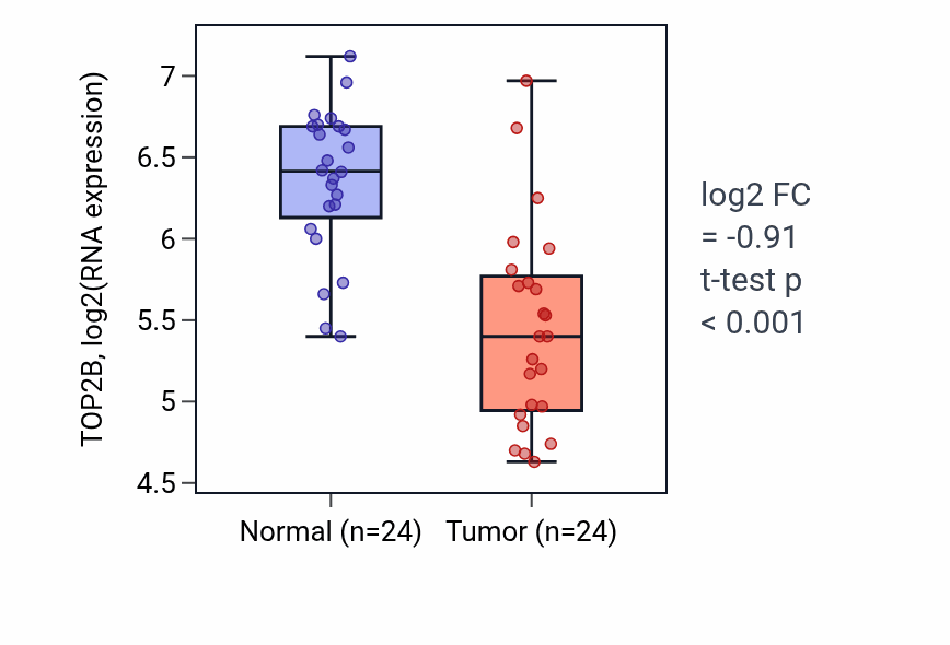 Tumor-vs-normal expression box plot for TOP2B RNA in KIRC.