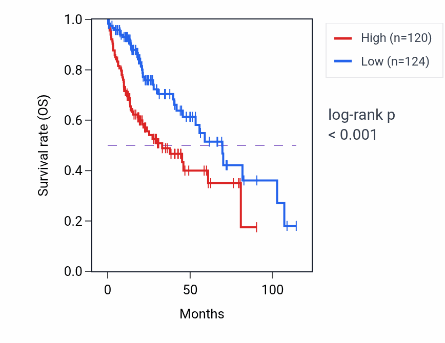 Kaplan&ndash;Meier survival curve for TOP2B RNA-high vs -low samples in LIHC.