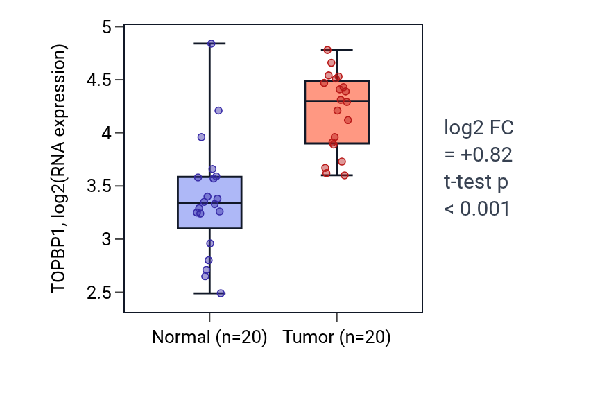 Tumor-vs-normal expression box plot for TOPBP1 in KIRC.