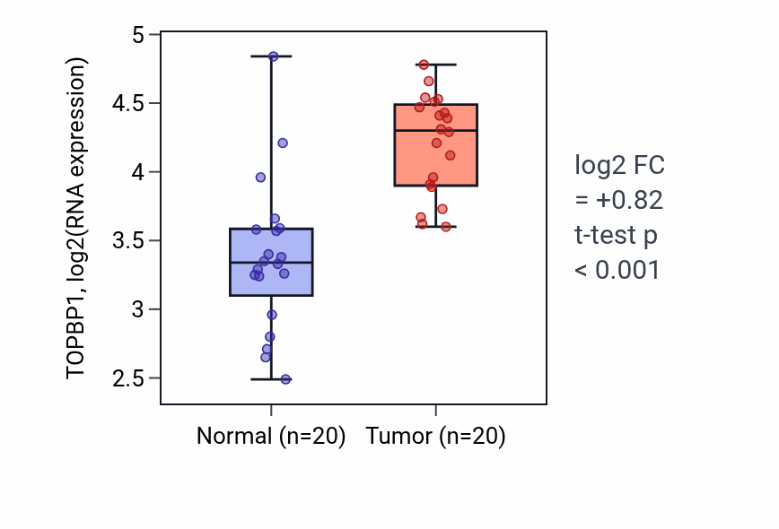 Tumor-vs-normal expression box plot for TOPBP1 RNA in KIRC.