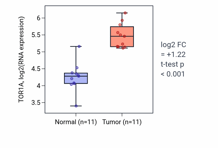 Tumor-vs-normal expression box plot for TOR1A RNA in HNSC.