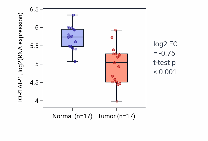 Tumor-vs-normal expression box plot for TOR1AIP1 RNA in THCA.