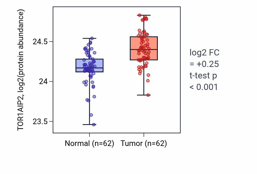 Tumor-vs-normal mass-spec protein box plot for TOR1AIP2 in HNSC.