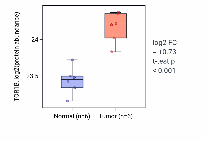 Tumor-vs-normal mass-spec protein box plot for TOR1B in HNSC.