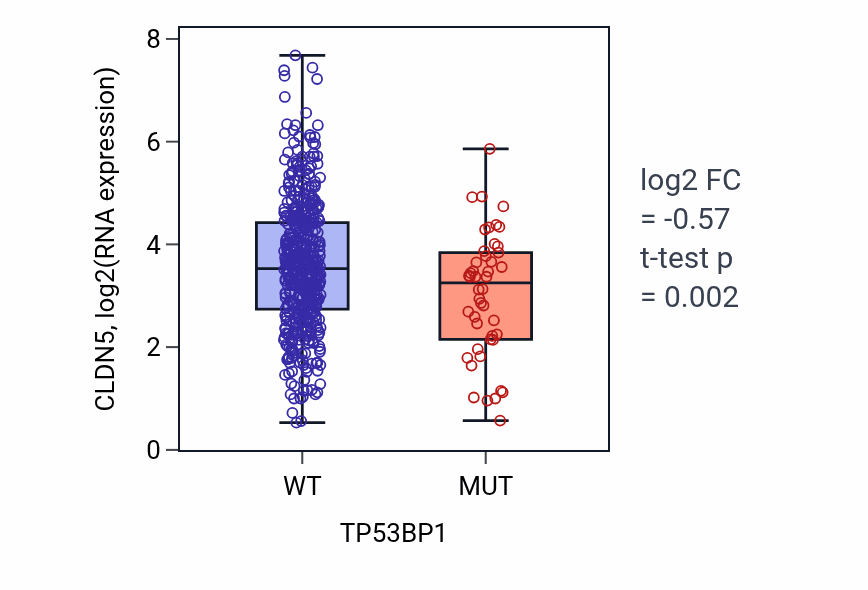 Box plot of CLDN5 in TP53BP1-low vs TP53BP1-high samples in UCEC.