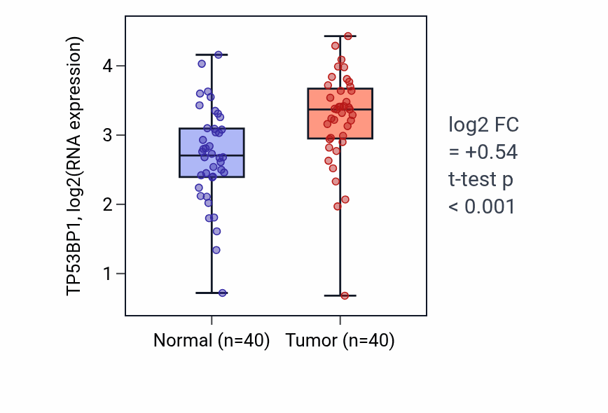 Tumor-vs-normal expression box plot for TP53BP1 RNA in HNSC.