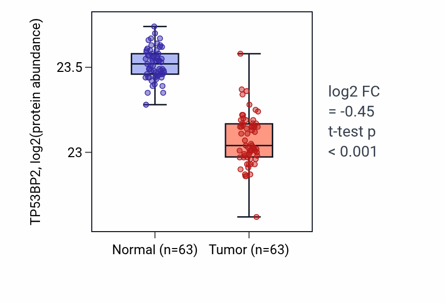 Tumor-vs-normal mass-spec protein box plot for TP53BP2 in CCRCC.