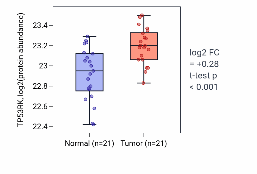Tumor-vs-normal mass-spec protein box plot for TP53RK in HNSC.