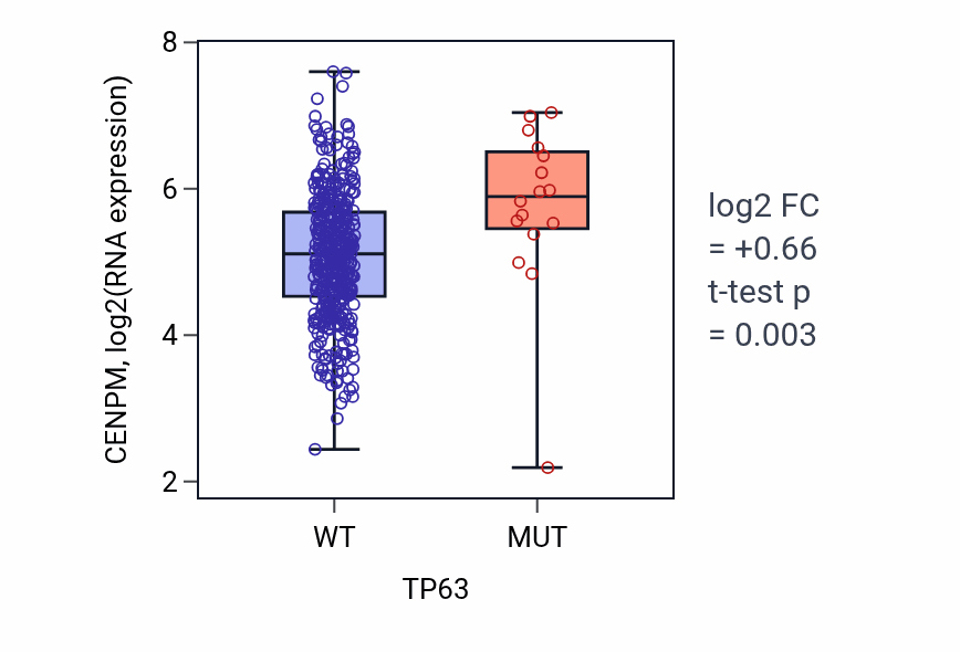 Box plot of CENPM in TP63-low vs TP63-high samples in COAD.
