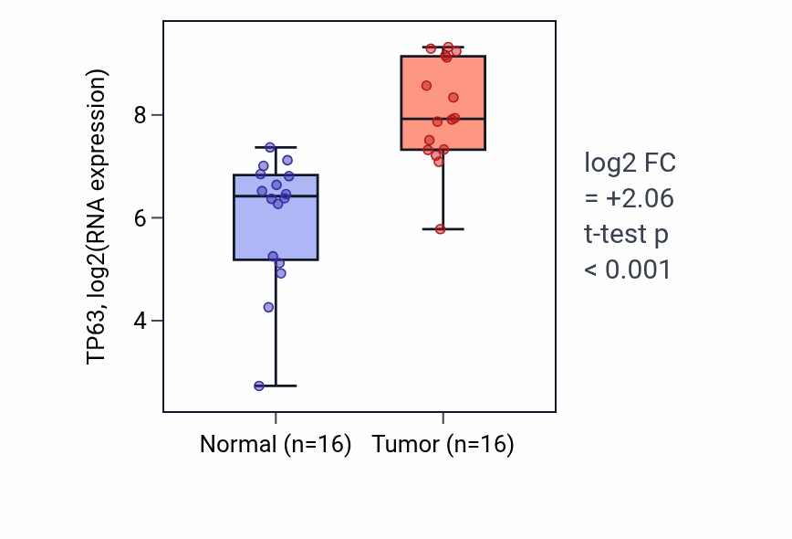 Tumor-vs-normal expression box plot for TP63 RNA in HNSC.