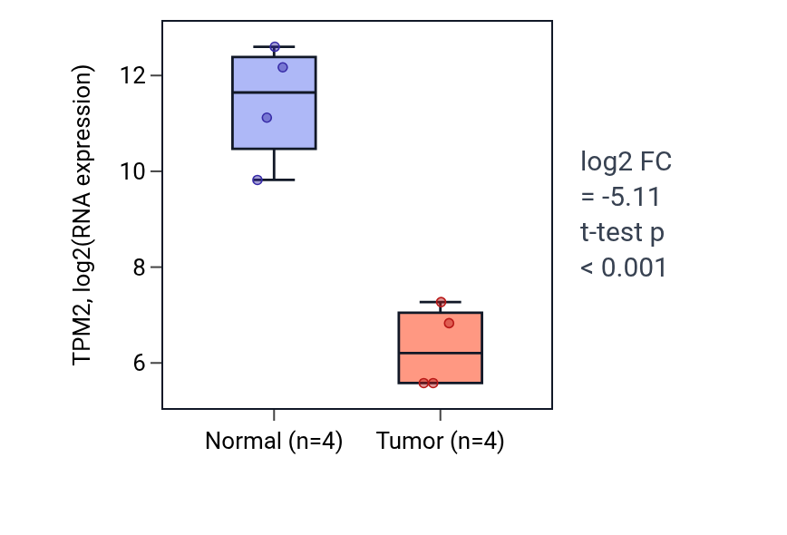 Tumor-vs-normal expression box plot for TPM2 in BLCA.