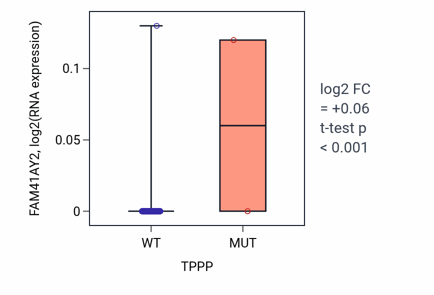 Box plot of FAM41AY2 in TPPP-low vs TPPP-high samples in HNSC.
