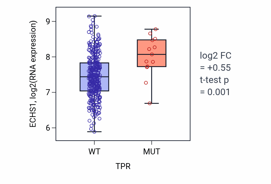 Box plot of ECHS1 in TPR-low vs TPR-high samples in STAD.