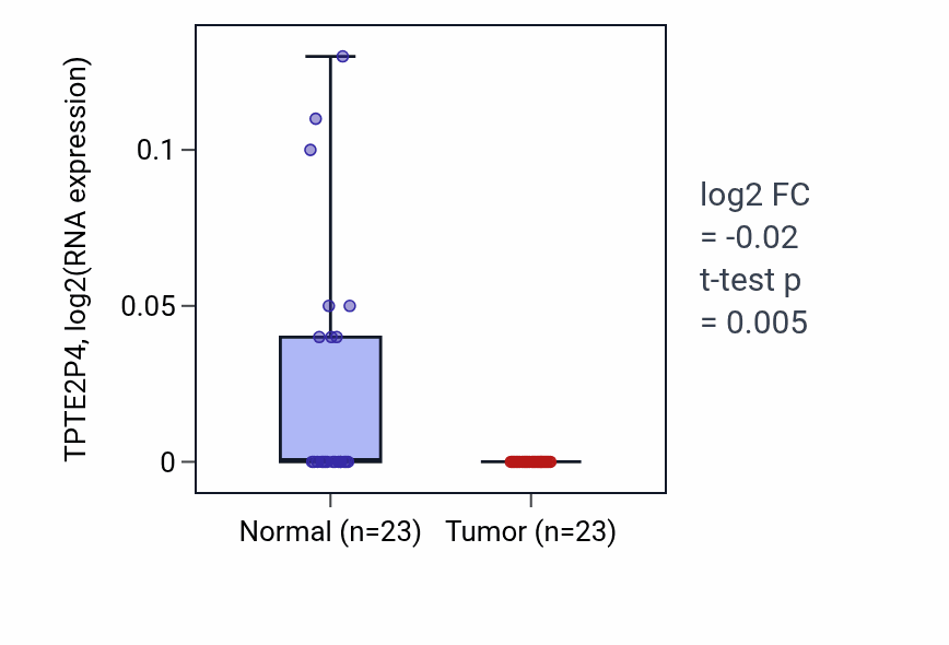 Tumor-vs-normal expression box plot for TPTE2P4 in THCA.