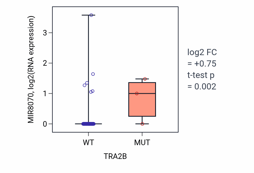 Box plot of MIR8070 in TRA2B-low vs TRA2B-high samples in LAML.