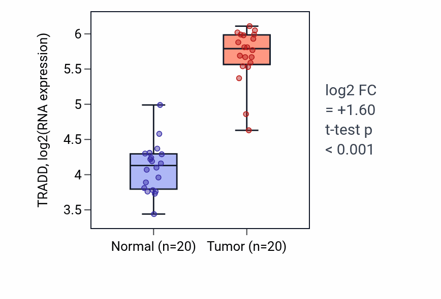 Tumor-vs-normal expression box plot for TRADD RNA in KIRC.