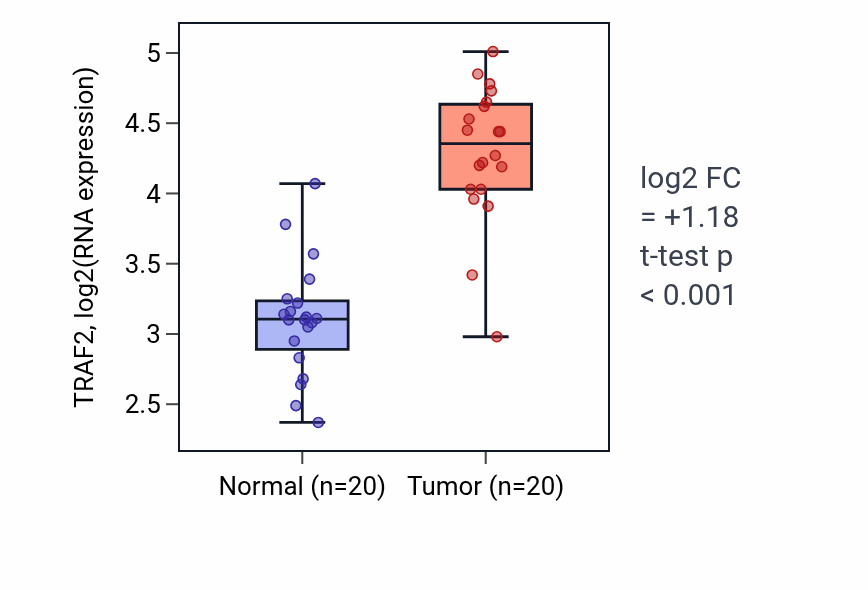 Tumor-vs-normal expression box plot for TRAF2 RNA in KIRC.