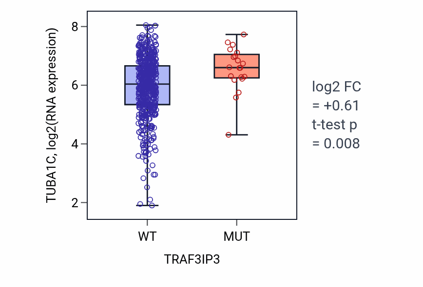 Box plot of TUBA1C in TRAF3IP3-low vs TRAF3IP3-high samples in UCEC.