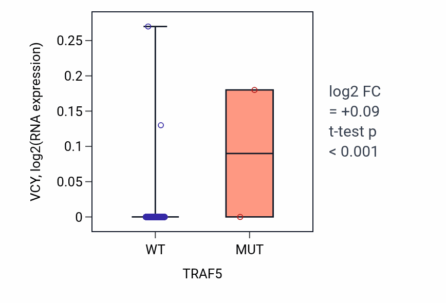 Box plot of VCY in TRAF5-low vs TRAF5-high samples in BRCA.